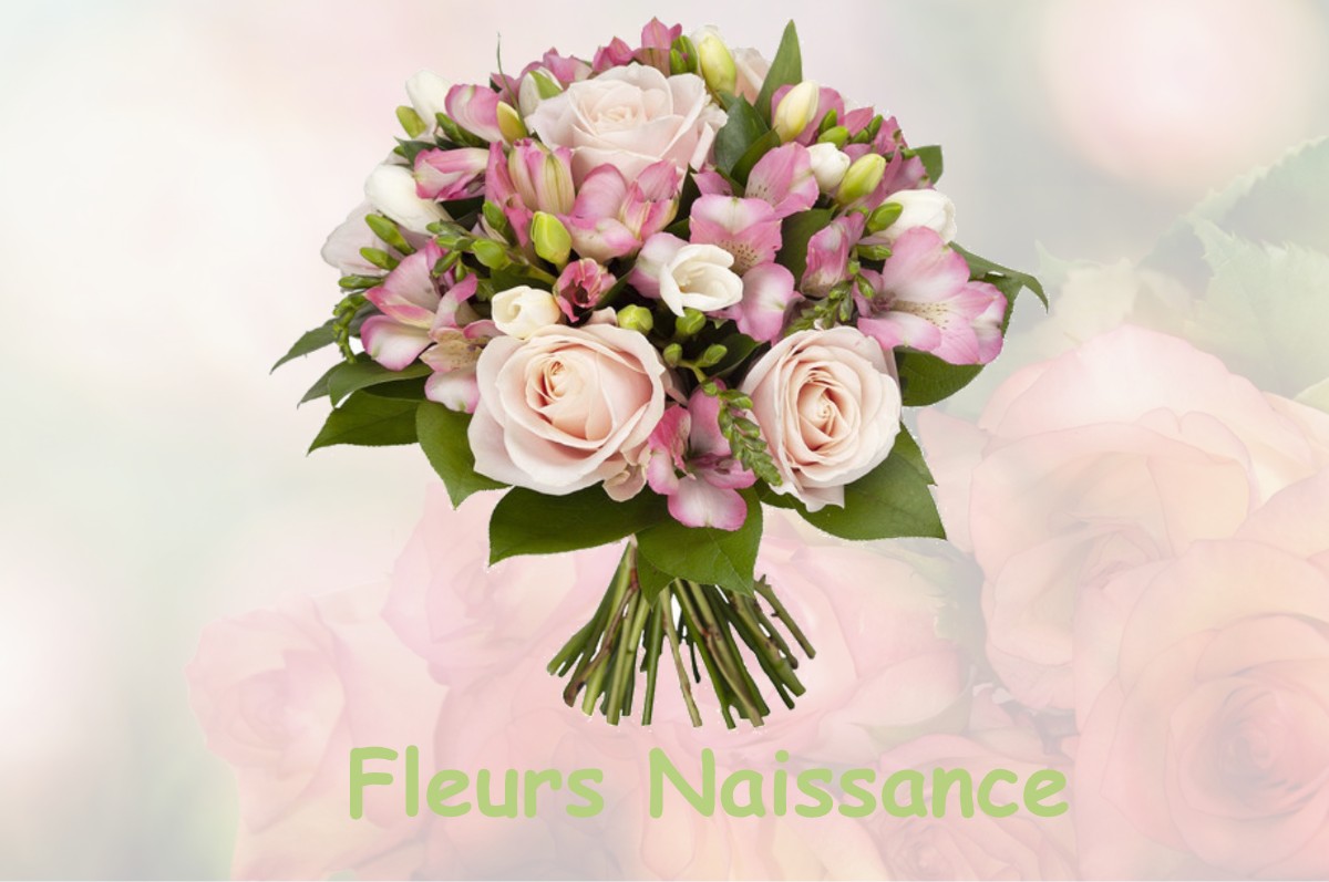 fleurs naissance SAINT-MICHEL-DE-FRONSAC